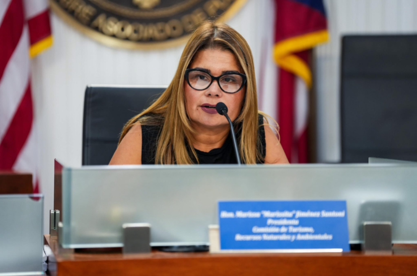 Imagen de Presentan legislación que busca prohibir excursiones para nadar con delfines y tiburones 